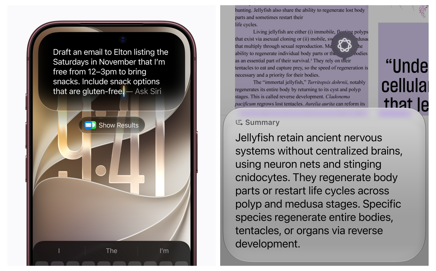 Hai ảnh chụp màn hình Siri AI: bên trái soạn email dựa trên lịch rảnh của người dùng, bên phải tóm tắt nội dung đang hiển thị trên màn hình